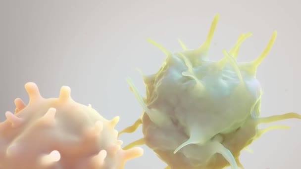 3D анимированные иммунные клетки уничтожают раковые клетки — стоковое видео