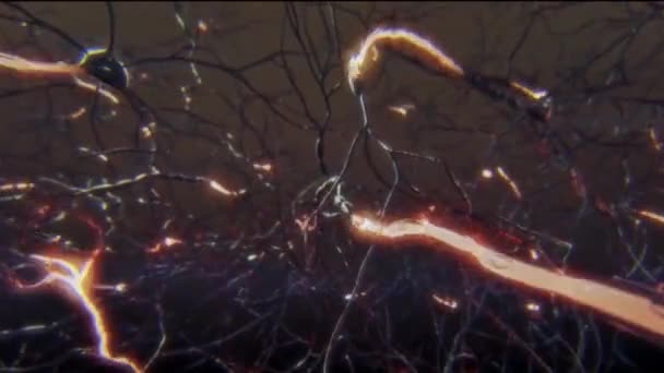 3D-animatie van neuron structuur en functie. Signaal in neuronen — Stockvideo