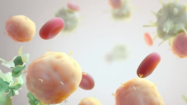 Le cellule immunitarie animate 3D distruggono le cellule tumorali — Video Stock