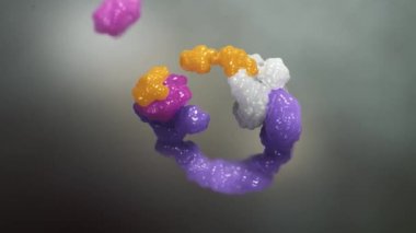 Gen transkripsiyonu ve çevirisi, DNA 'dan Rna' ya ve ortaya çıkan proteinden.