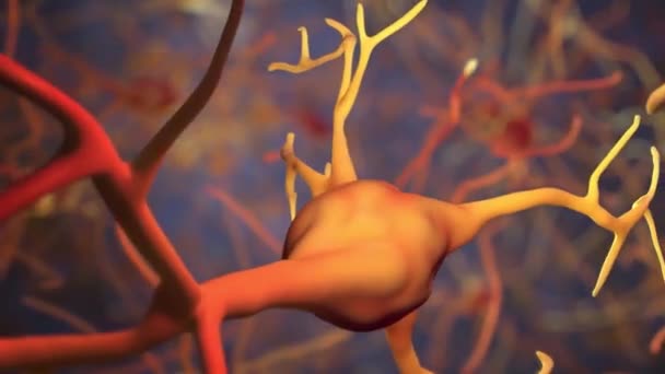 3D-animering av neurala nätverk och neuroner bränning — Stockvideo