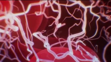 Kan pıhtılaşmasında rol oynayan lifli, nonsferik bir protein. Fibrin Animasyonu