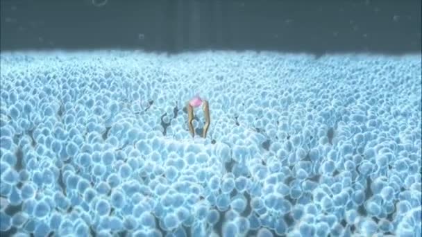 3D mikrobiologická animace buněk — Stock video