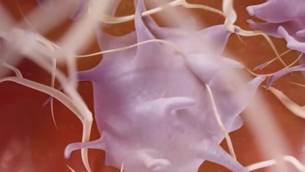 Ein faseriges, nichtsphärisches Protein, das an der Blutgerinnung beteiligt ist. Animation von Fibrin — Stockvideo