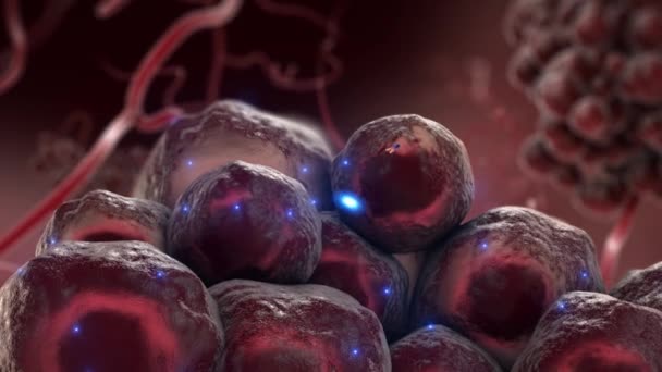 anticorps qui attaquent les cellules tumorales 