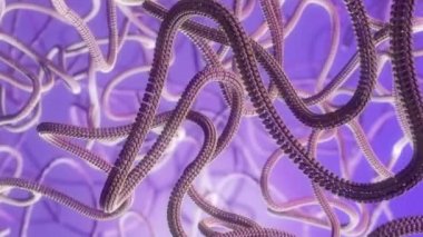 Mitoz animasyon ve genel bir biyolojik Hücre çoğaltma render