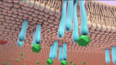 3d Mikrobiyoloji G Protein Birleştiğinde Reseptörlerin Tıbbi Animasyonu