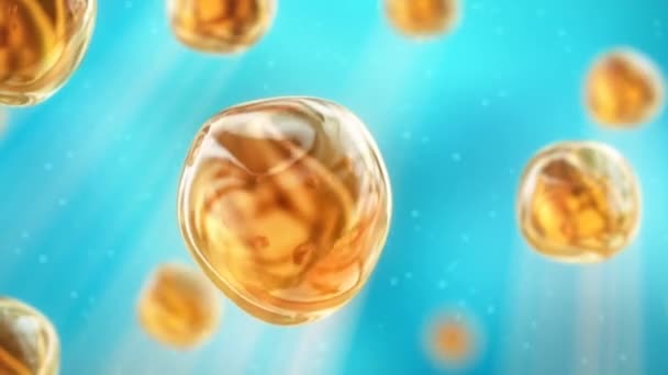 Cellules avec des unités structurelles, fonctionnelles et biologiques de base de tous les organes vivants — Video