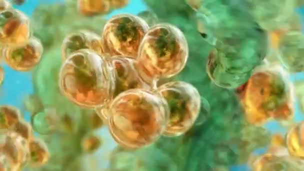 Hücre bölünmesi 3d Tıbbi Animasyon — Stok video