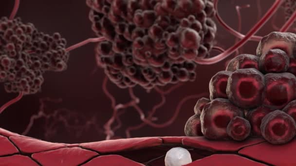 Šíření nádorových buněk 3D animace — Stock video
