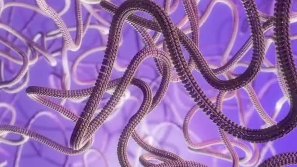 Resa Animazione della mitosi e replicazione di una cellula biologica generica — Video Stock