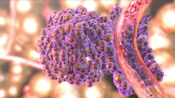 Mutating blood cell. AIDS. Blood cancer (oncology, leukemia, anemia, hemophilia). Available in high-resolution and several sizes to fit the needs of your project. 3D animation — Stock Video