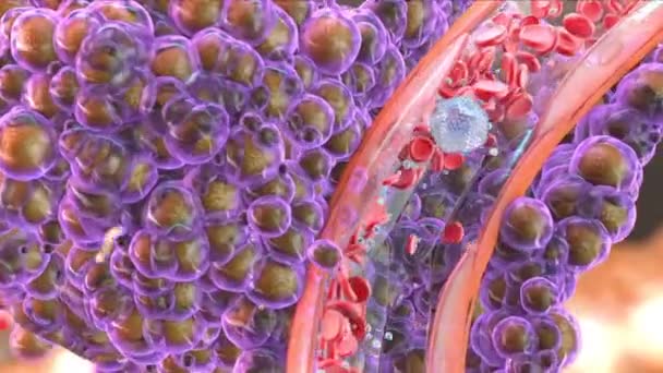 Mutando células sanguíneas. SIDA. Cáncer de sangre (oncología, leucemia, anemia, hemofilia). Disponible en alta resolución y varios tamaños para adaptarse a las necesidades de su proyecto. Animación 3D — Vídeo de stock