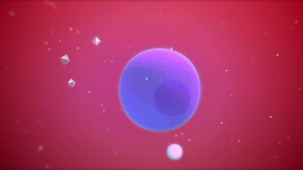 Production de cytokines dans les macrophages activés.Animation médicale 