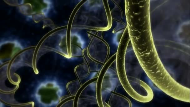 病毒一种以DNA形式储存遗传信息的病毒 — 图库视频影像