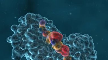 Genetik kod, genetik materyalde şifrelenmiş bilginin canlı hücreler tarafından proteinlere çevrildiği kurallar kümesidir..
