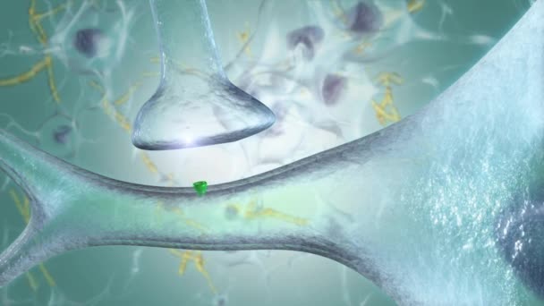 Un neurone genera un impulso elettrico, inducendo la cellula a rilasciare i suoi neurotrasmettitori  . — Video Stock