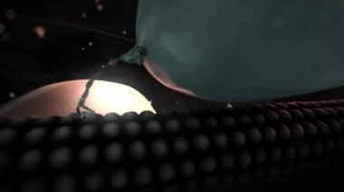 Hipokampüsün nöronlarında, Glut2 'nin sinaptik aktiviteyi ve nörotransmitter salınımını düzenlemesi beklenir..