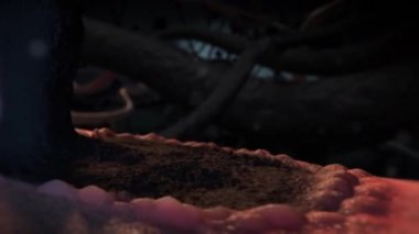 3D Tıbbi Animasyon, Nöronun Ölümü