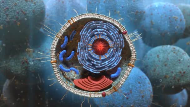 Animation 3D Science de la structure interne de la cellule — Video