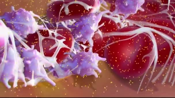 Coagulation,is a process by which blood changes from a liquid to a gel, forming a blood clot. — Stock Video