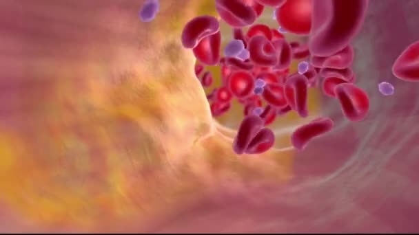 Hemophilia, Coagulation and how blood clots — Stock Video © scienceanm  #310067286