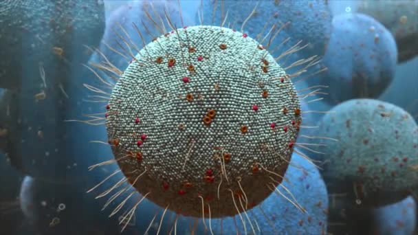 3d Science animation της εσωτερικής δομής του κυττάρου — Αρχείο Βίντεο