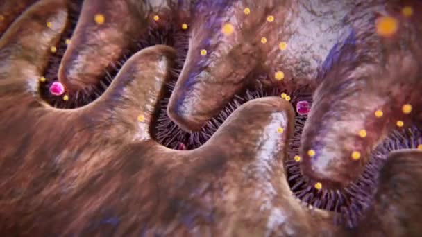 Animation médicale du glycocalyx endommagé 