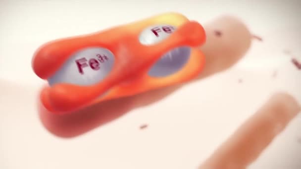 Animation médicale d'un vaccin unique pour bovins 