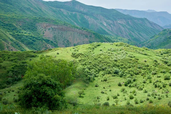 View of a green valley in the mountains on a sunny day with clouds in the sky.