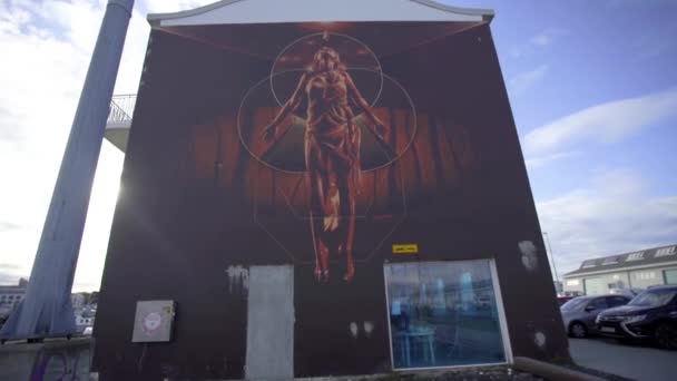 REYKJAVIK, ICELAND, OCTOBER 10, 2019 Street art on the street of Reykjavik city — Stok Video