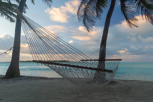 Hamaca de cuerda bajo las palmeras, vista lateral, Aitutaki, Islas Cook — Foto de Stock