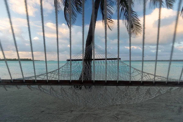 Hamaca de cuerda bajo las palmeras, vista frontal, Aitutaki, Islas Cook — Foto de Stock