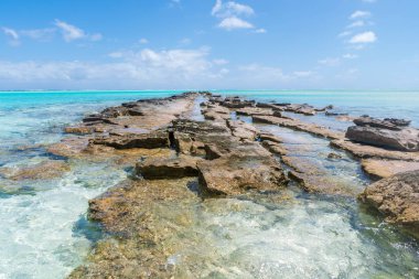 Okyanusa volkanik kaya yolu, Aitutaki, Cook Adaları