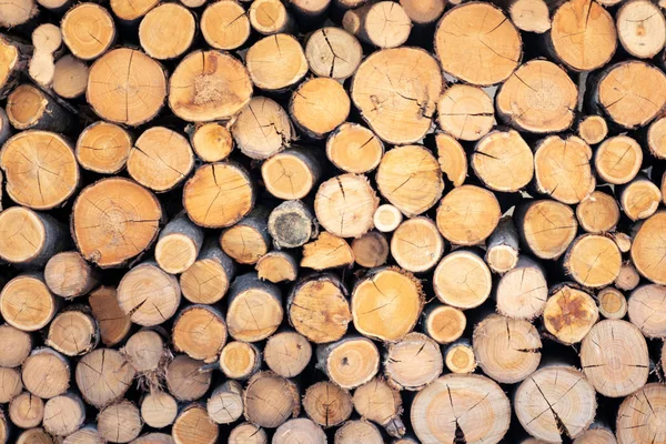 Pile of wood logs stored for winter — Stock Photo, Image