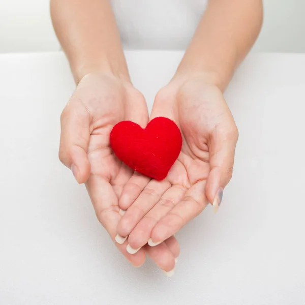 Vrouwelijke handen geven rood hart Stockfoto