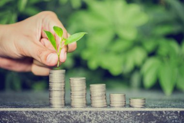 Yeşil bokeh backg ile altın sikke istifleme erkek el yakın