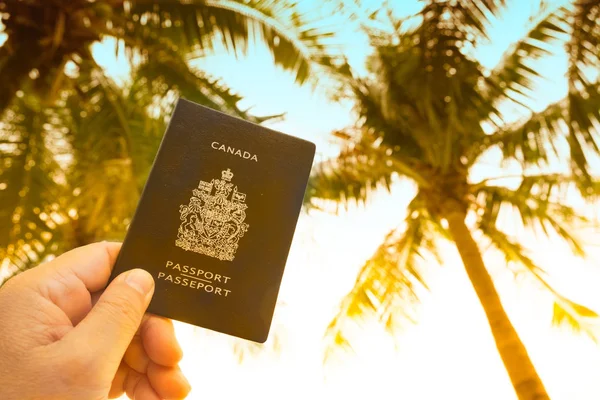 Mano Sosteniendo Pasaporte Canadiense Mapa Cielo Palmeras Fondo — Foto de Stock