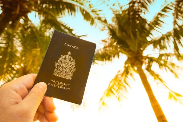 Mão Segurando Passaporte Canadense Mapa Céu Palmeiras Fundo — Fotografia de Stock