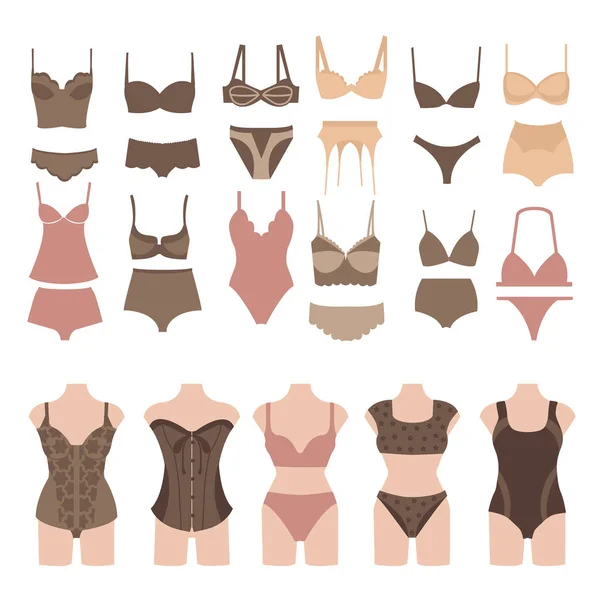 Women in different types of lingerie - Stock Illustration [55169661] - PIXTA