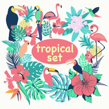 Tropikal kuşlar topluluğu vektör, yaprak ve çiçek illüstrasyon palmiye