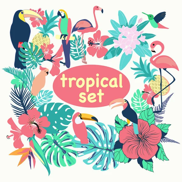 Tropikal kuşlar topluluğu vektör, yaprak ve çiçek illüstrasyon palmiye