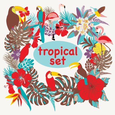 Arka plan ile tropik kuşların vektör, yaprak ve çiçek illüstrasyon palmiye