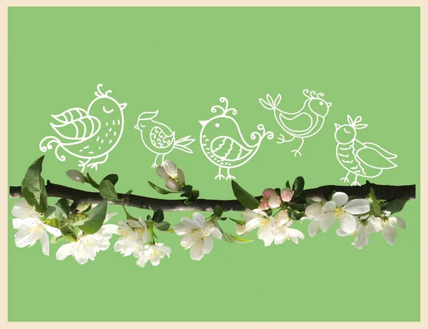 在绿色背景的苹果树枝叶上 有花哨的涂鸦风格的可爱的小鸟 卡弹簧时间概念模板 — 图库照片