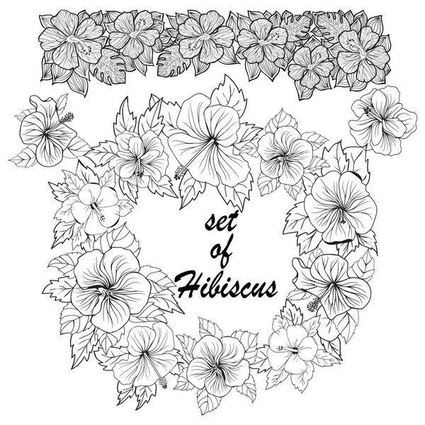 Ensemble d'hibiscus botanique tropique exotique feuilles et fleurs croquis . — Image vectorielle