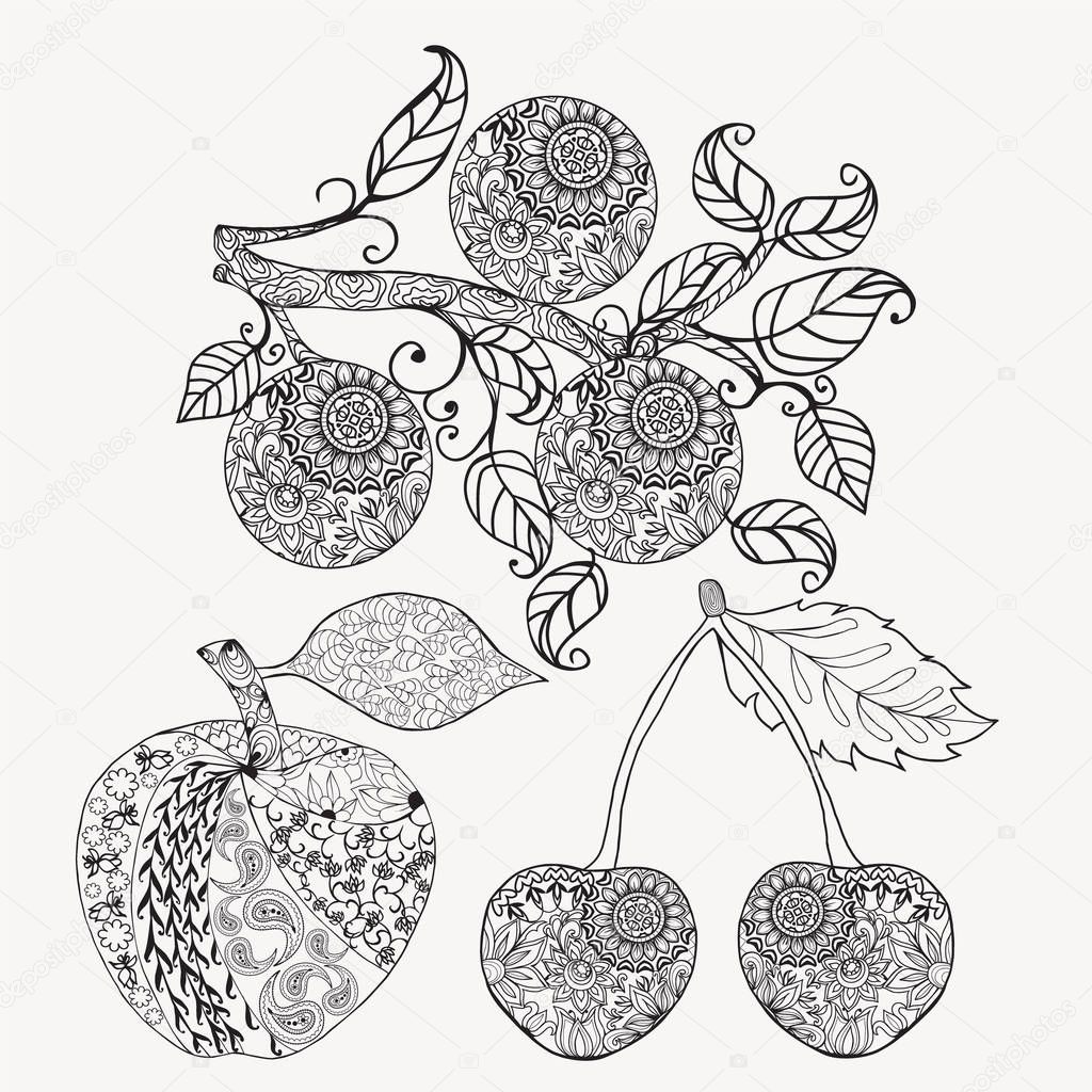 fruits citrus orange, cherry and apple food illustration 