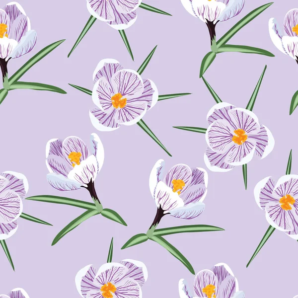 Patroon met lente paarse krokus — Stockvector