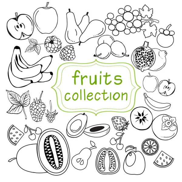 Collection of doodle organic fruits line art element — Stock Vector