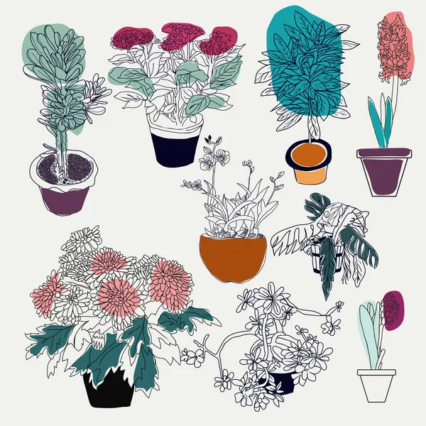 Colección de diferentes plantas de la casa sobre fondo blanco — Vector de stock