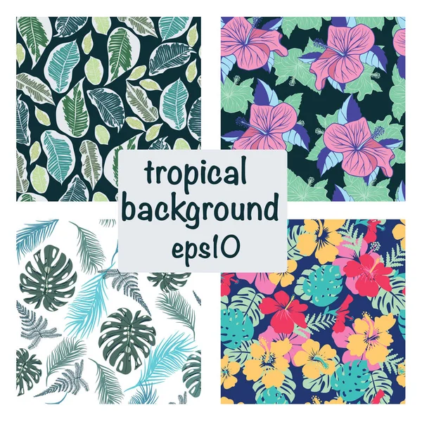 Set di sfondo tropicale, foglie esotiche e fiori di ibisco . — Vettoriale Stock